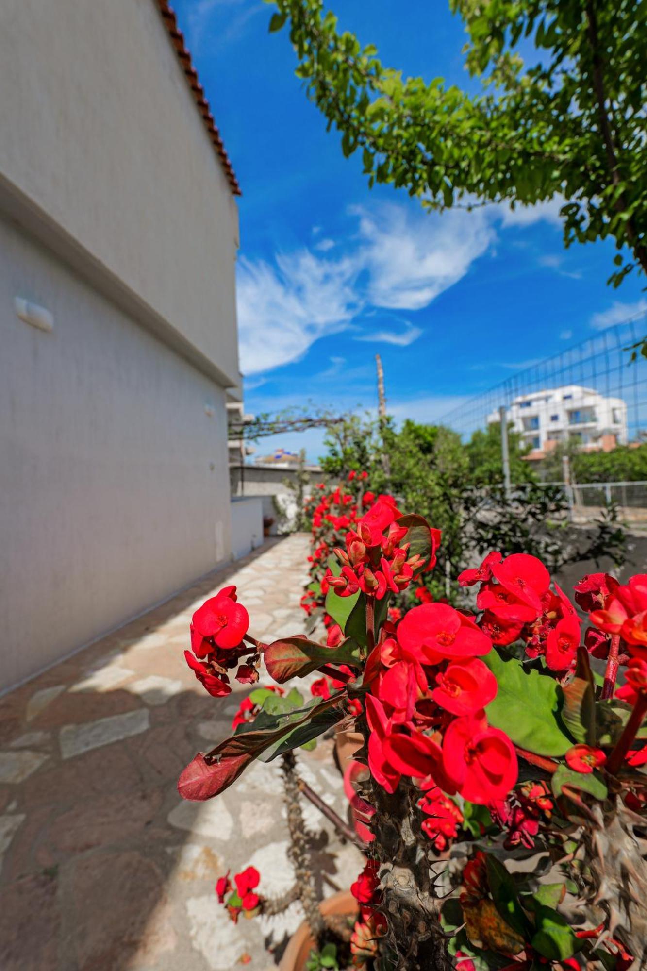 Guest House Moonlight كساميل المظهر الخارجي الصورة